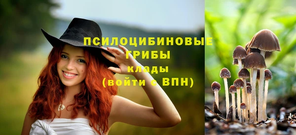 метадон Белокуриха