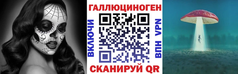 мориарти клад  Няндома  Псилоцибиновые грибы Magic Shrooms 